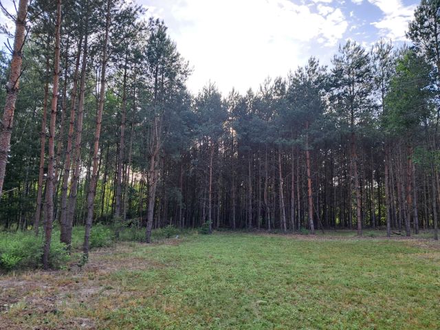 Działka budowlana Tomczyn. Zdjęcie 1