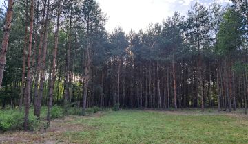 Działka budowlana Tomczyn