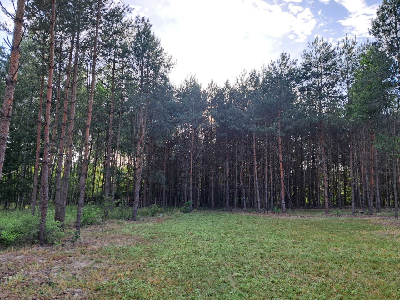 Działka budowlana Tomczyn