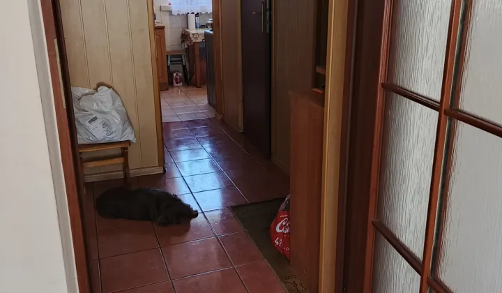 Mieszkanie 2-pokojowe Chełm Trubaków, ul. Trubakowska