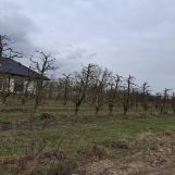 Działka budowlana Wyborów. Zdjęcie 3