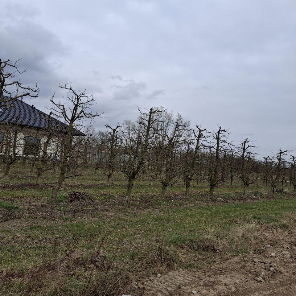 Działka budowlana Wyborów. Zdjęcie 6