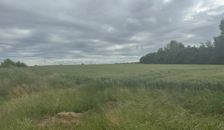 Działka rolna Ustronie Morskie, ul. Poranna