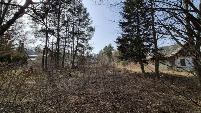 Działka budowlana Pilawa. Zdjęcie 3