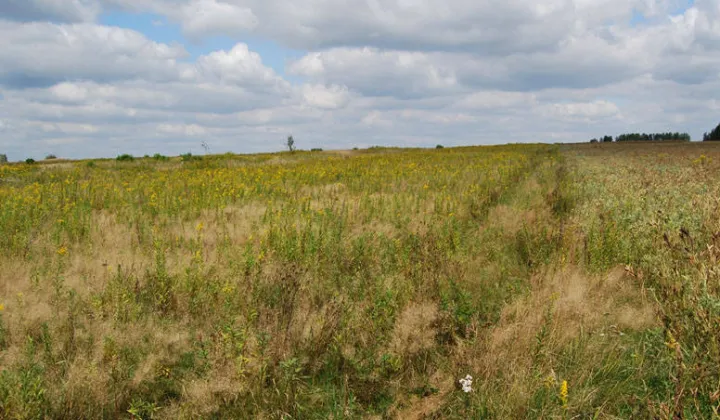 Działka inwestycyjna Baranów