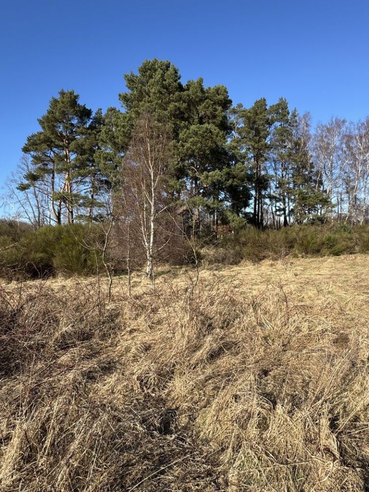 Działka budowlana Dębina, ul. Zacisze Słowika. Zdjęcie 8
