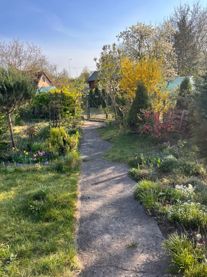 Działka rod Szczecin Pogodno, ul. Hieronima Derdowskiego. Zdjęcie 4