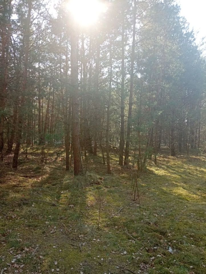 Działka rolna Lisowice-Kolonia. Zdjęcie 8