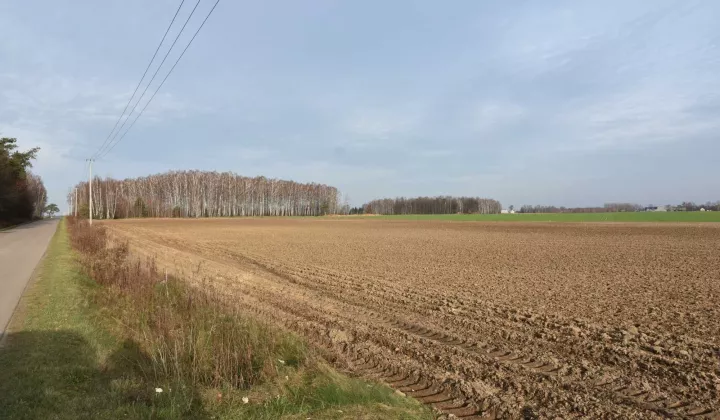 Działka budowlana Poczernin, ul. Stanisława Mikołajczyka