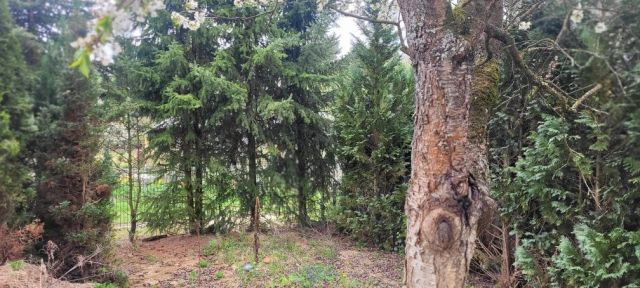 Działka rekreacyjna Biedrusko. Zdjęcie 1