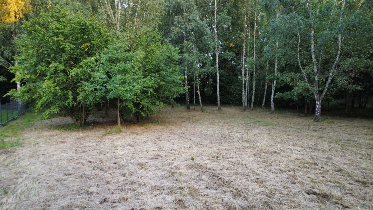 Działka inwestycyjna Poręba Krawce, ul. Główna. Zdjęcie 3