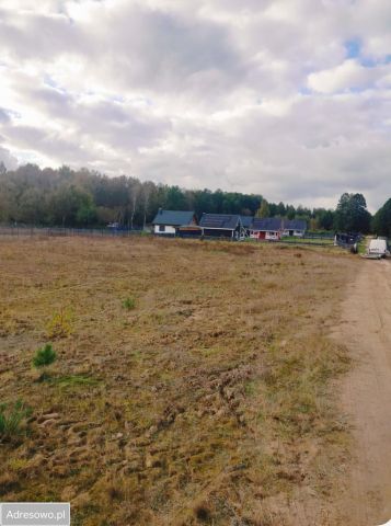 Działka rekreacyjna Pilchy. Zdjęcie 1