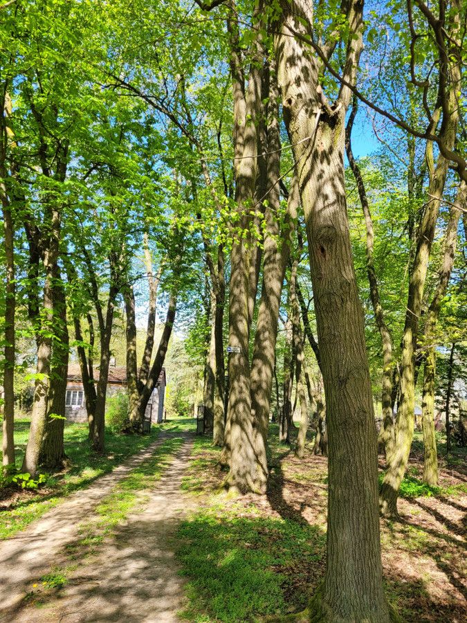 siedlisko Zaręby, ul. Kuropatwy. Zdjęcie 10