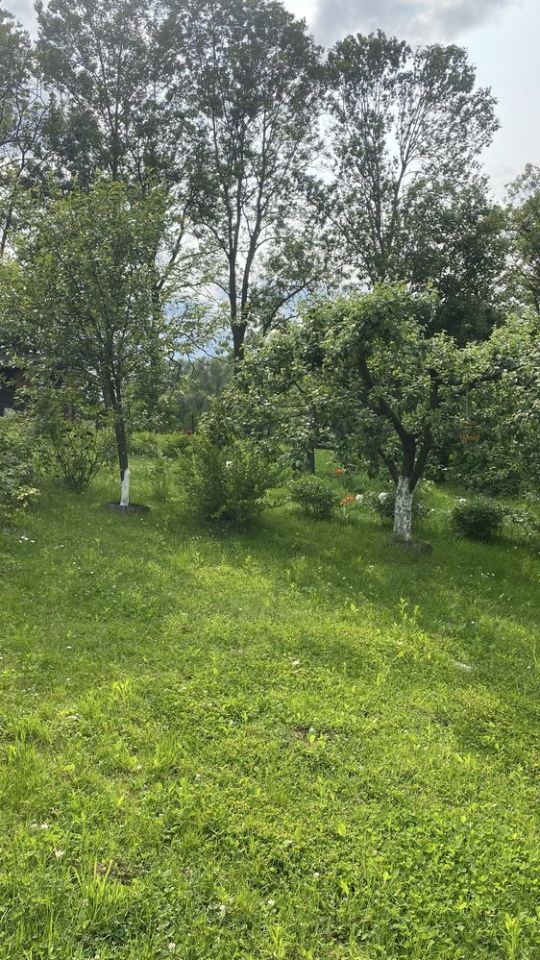 Działka rod Uniszowice. Zdjęcie 3