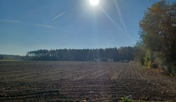 Działka budowlana Barłożnia Gościeszyńska