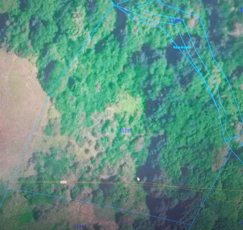 Działka Bystra. Zdjęcie 7