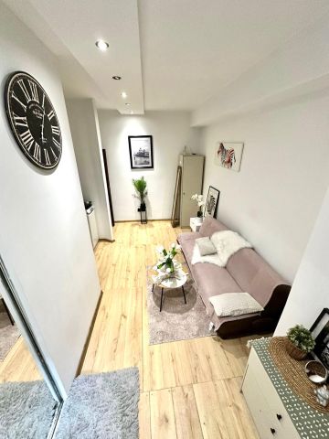 Mieszkanie 1-pokojowe Łódź Śródmieście, ul. Piotrkowska. Zdjęcie 1