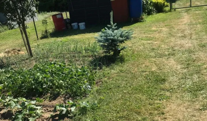 Działka rod Gogolin