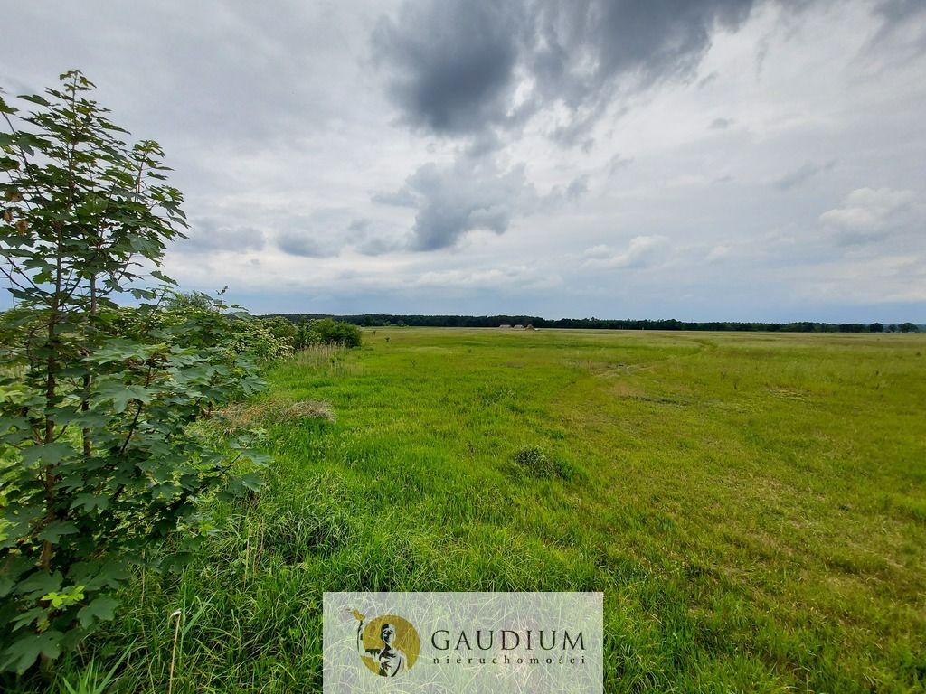 Działka Karszyn. Zdjęcie 7