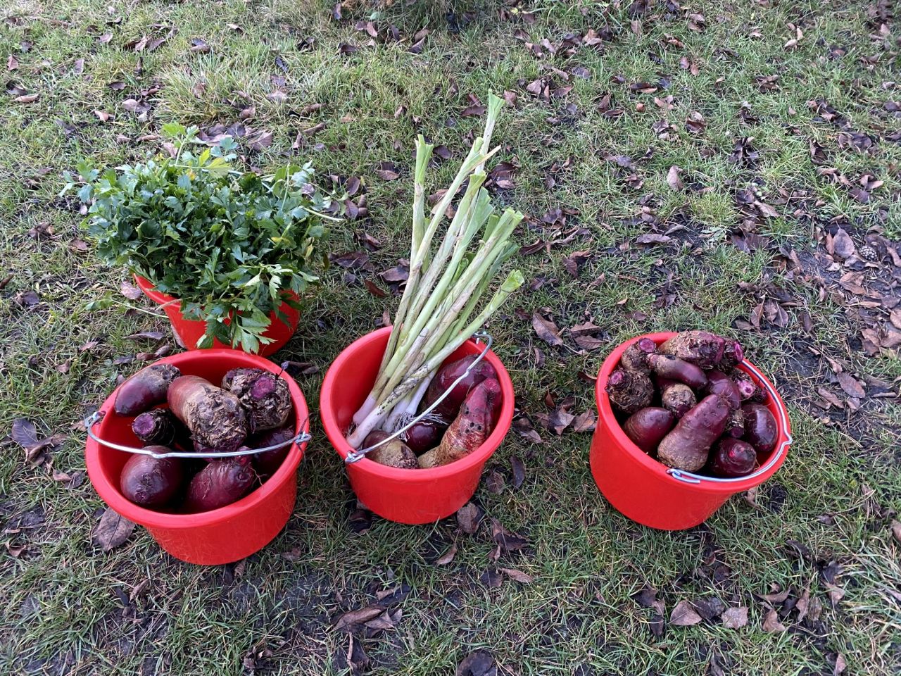 Działka rod Białystok Wygoda, ul. Krzysztofa Pendereckiego. Zdjęcie 18
