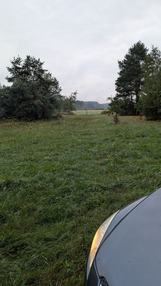 Działka rolna Danków Duży. Zdjęcie 7