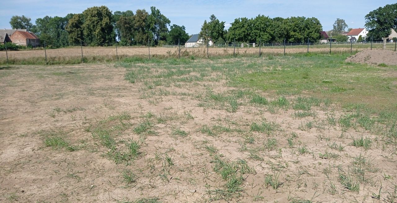 Działka budowlana Niedźwiedzice. Zdjęcie 3