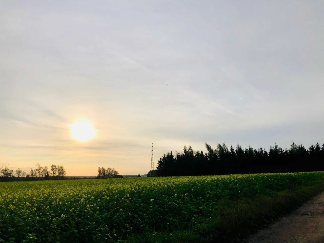 Działka inwestycyjna Podpniewki. Zdjęcie 2