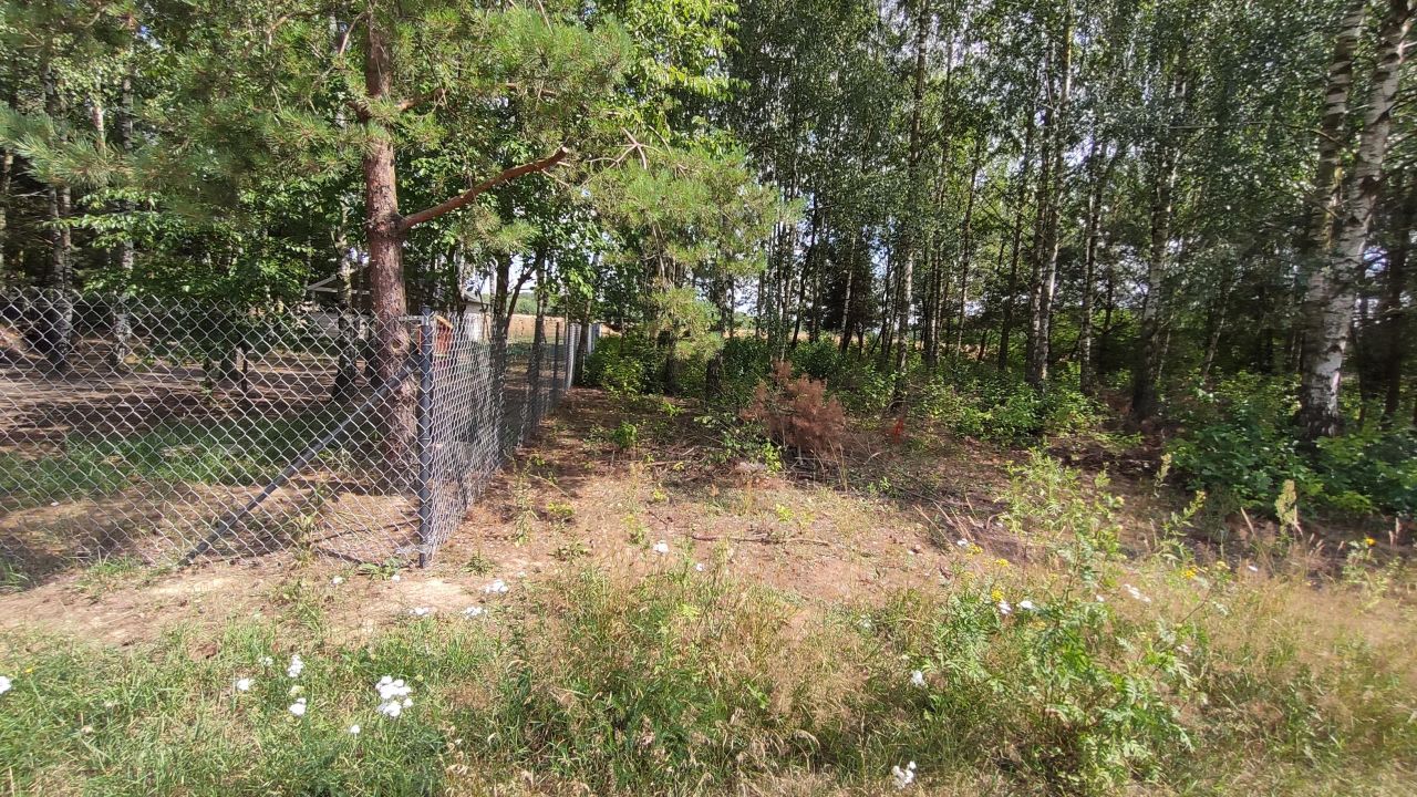 Działka budowlana Henrykowo. Zdjęcie 6