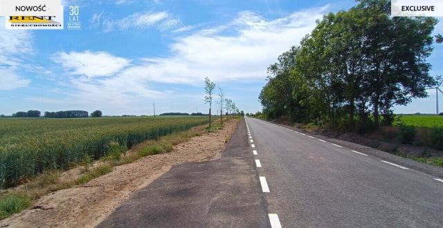 Działka siedliskowa Parsów. Zdjęcie 11