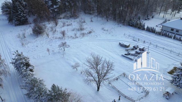 Działka Wysoka Głogowska. Zdjęcie 5