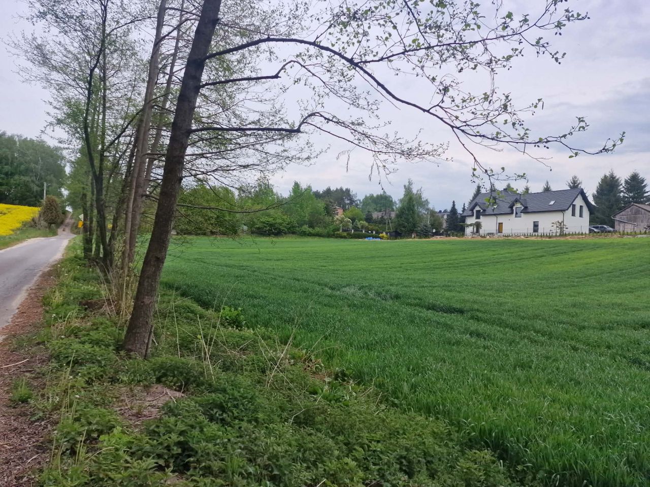 Działka rolno-budowlana Strzelce. Zdjęcie 2