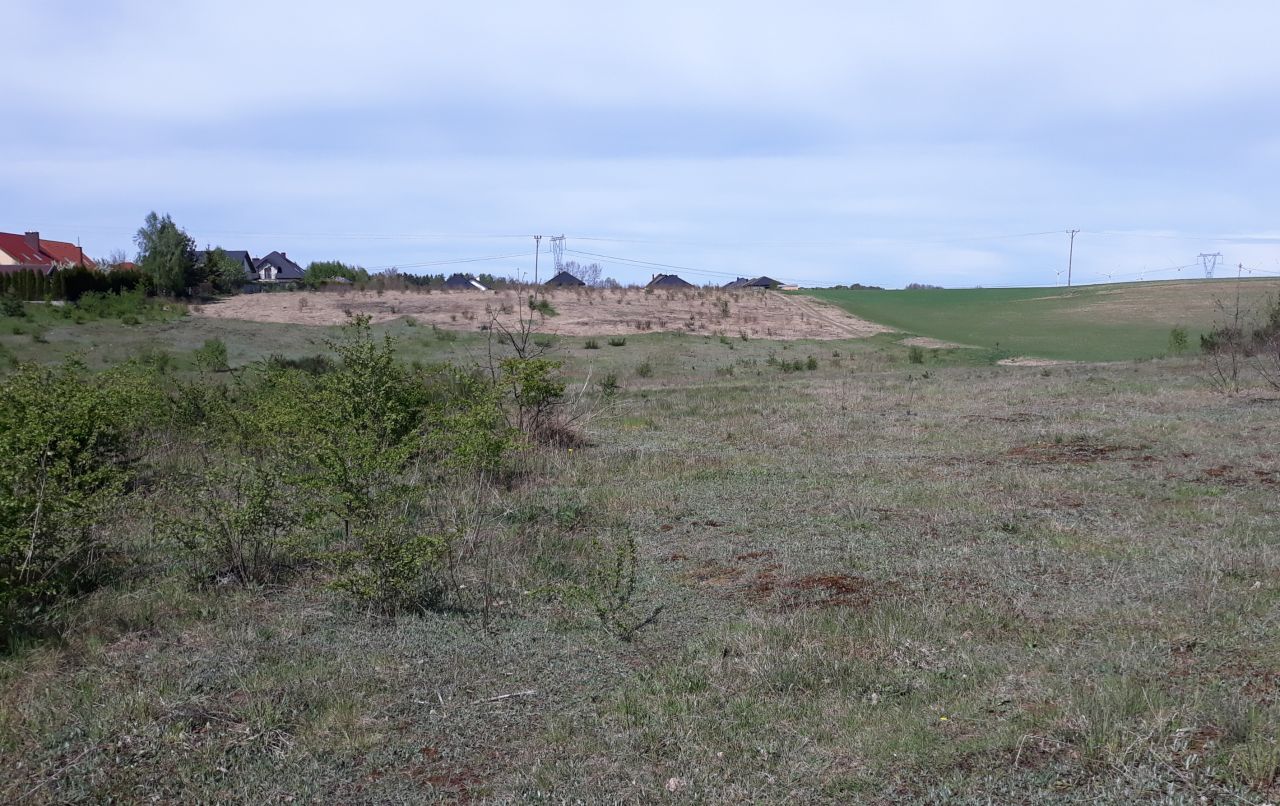 Działka rolna Siemianice, ul. Polna. Zdjęcie 6