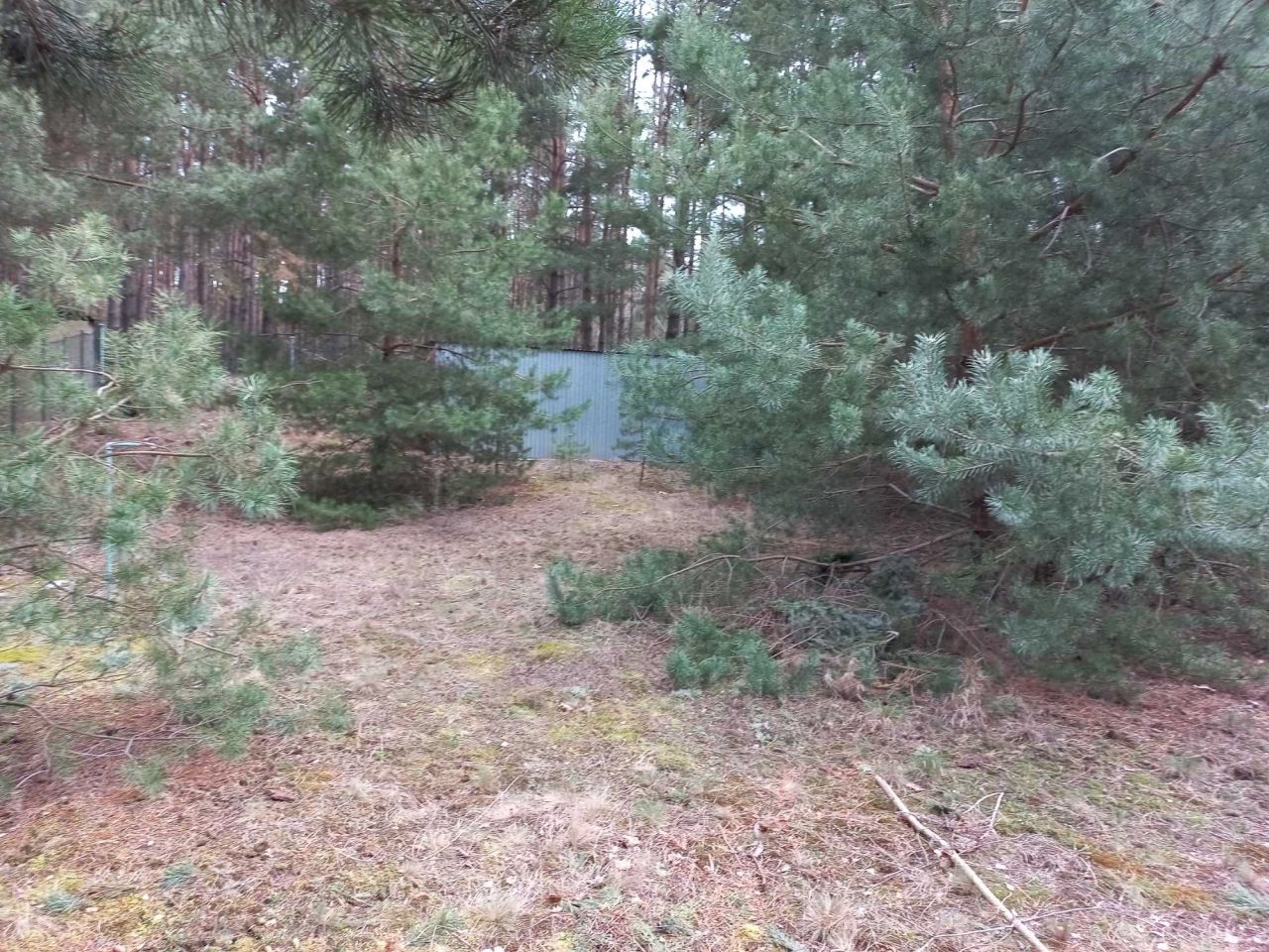 Działka Chrzypsko Małe. Zdjęcie 6