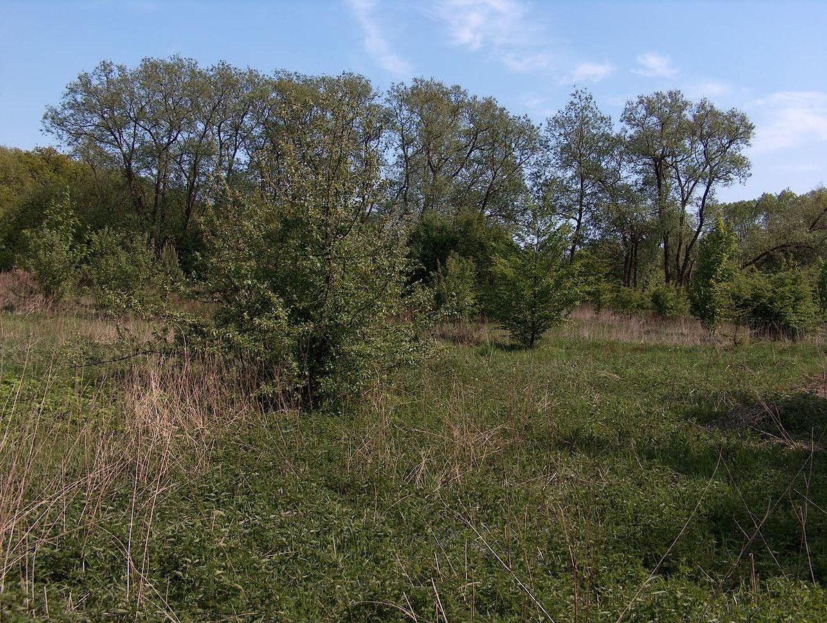 Działka budowlana Włynkówko, ul. Aleja nad Rzeką. Zdjęcie 13