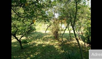 Działka rod Wrocław Tarnogaj, ul. Bardzka