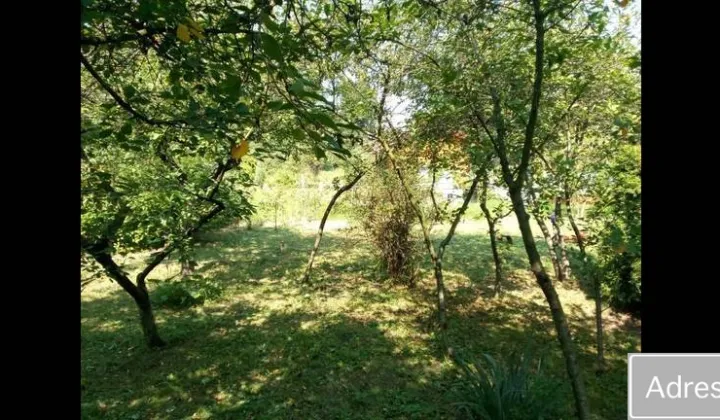 Działka rod Wrocław Tarnogaj, ul. Bardzka