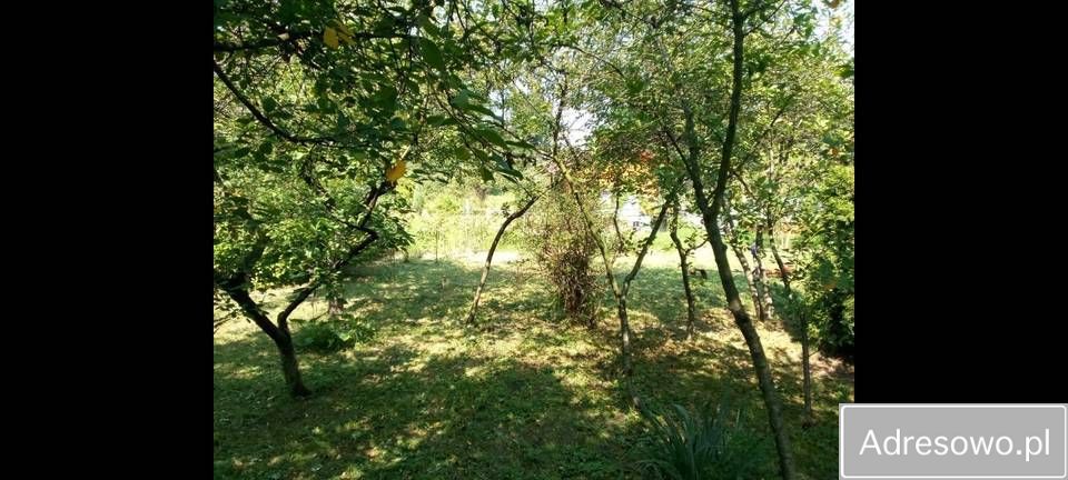 Działka rod Wrocław Tarnogaj, ul. Bardzka