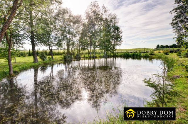 dom wolnostojący, 5 pokoi Sejny. Zdjęcie 8