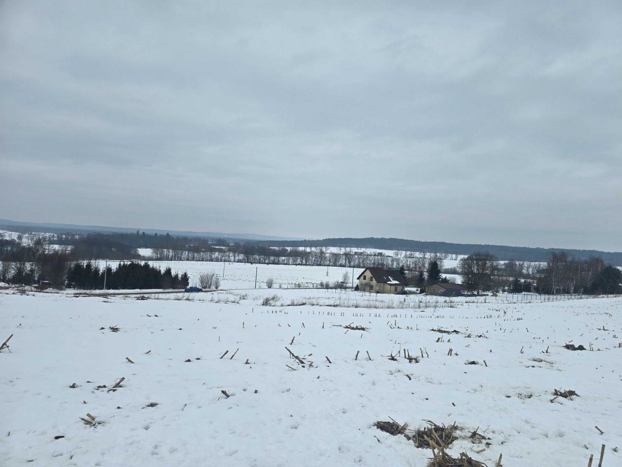 Działka siedliskowa Chocielewko. Zdjęcie 4