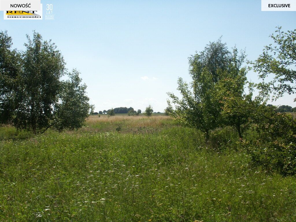 Działka rolna Radawka. Zdjęcie 4