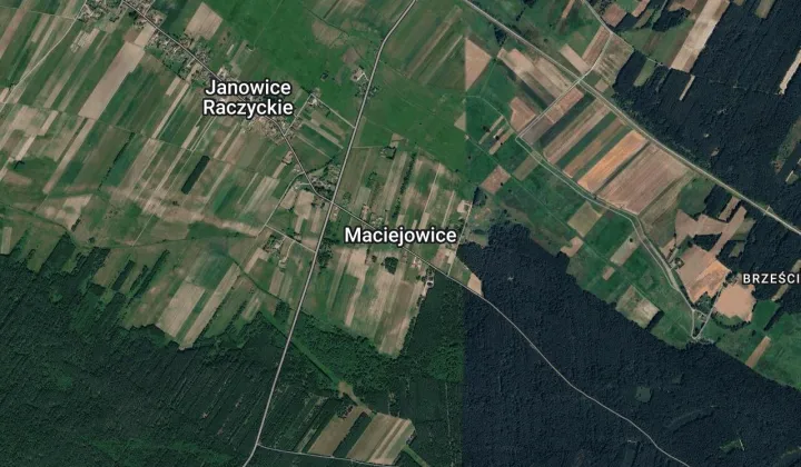 Działka rolna Maciejowice