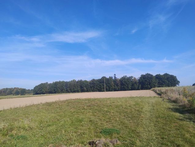 Działka budowlana Adamów. Zdjęcie 1