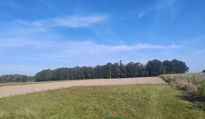 Działka budowlana Adamów