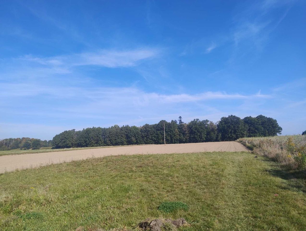 Działka budowlana Adamów. Zdjęcie 1