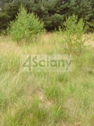 Działka budowlana Łępice. Zdjęcie 3