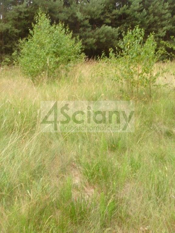 Działka budowlana Łępice. Zdjęcie 3