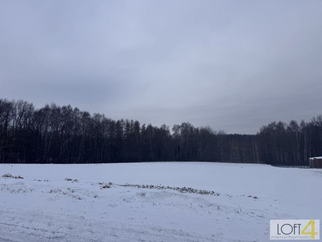 Działka rolno-budowlana Wojnicz. Zdjęcie 4