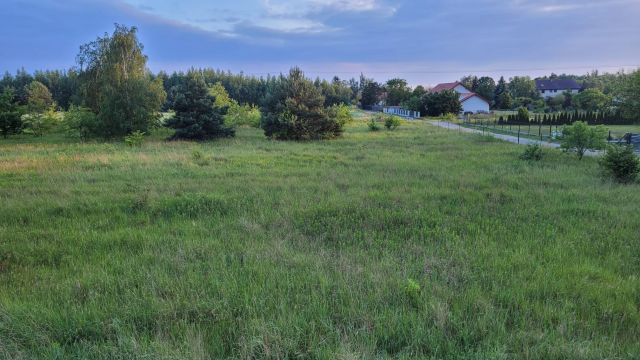 Działka budowlana Miłoszyce, Akacjowa 21. Zdjęcie 1