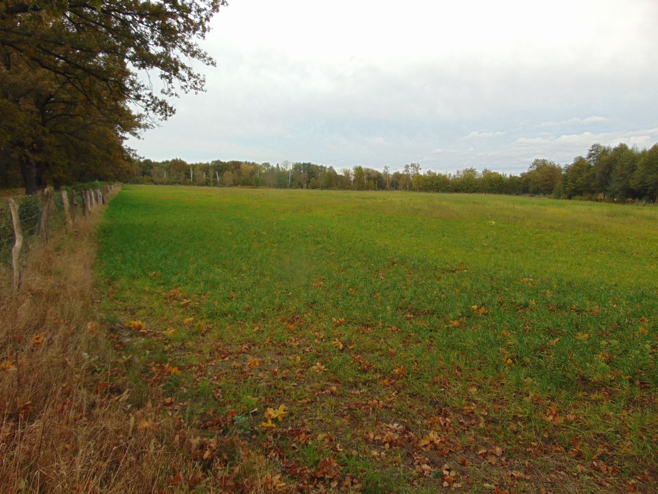 Działka inwestycyjna Zielona Góra, ul. Zielonogórska. Zdjęcie 3