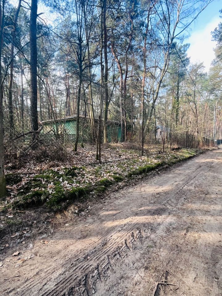 Działka rekreacyjna Sokolniki-Las. Zdjęcie 3